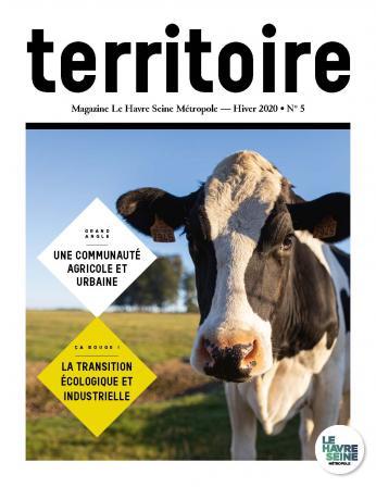 Magazine Territoire n°5 - Hiver 2020