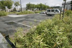 Parking extérieur