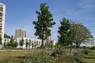 Quartier de Caucriauville au Havre