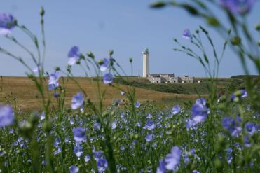 Phare d'Antifer