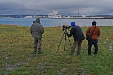 Sortie nature LPO