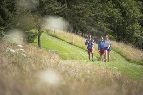 Des randonneurs en pleine nature