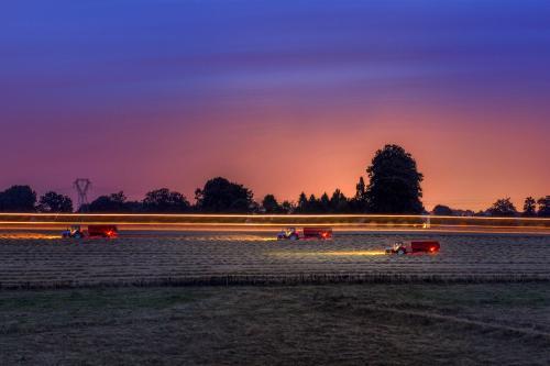 Récolte dans les champs la nuit