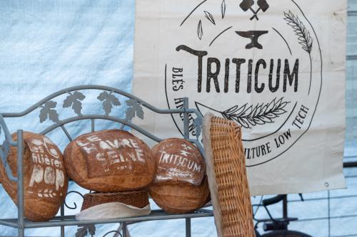 Filière céréales bio & locale, avec l'association Triticum