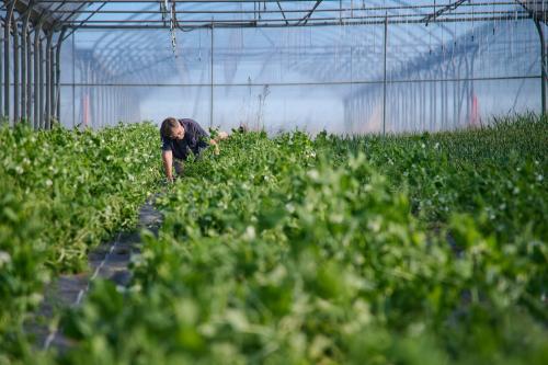 Les cuisiniers des cantines havraises en visite chez les agriculteurs du territoire communautaire qui fournissent leurs matières premières, le 9 avril 2026