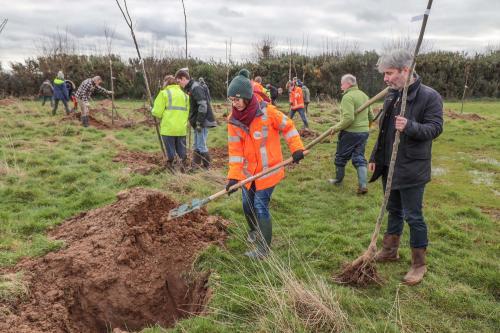 Plantation d'arbres au Château de Gromesnil - Janvier 2024