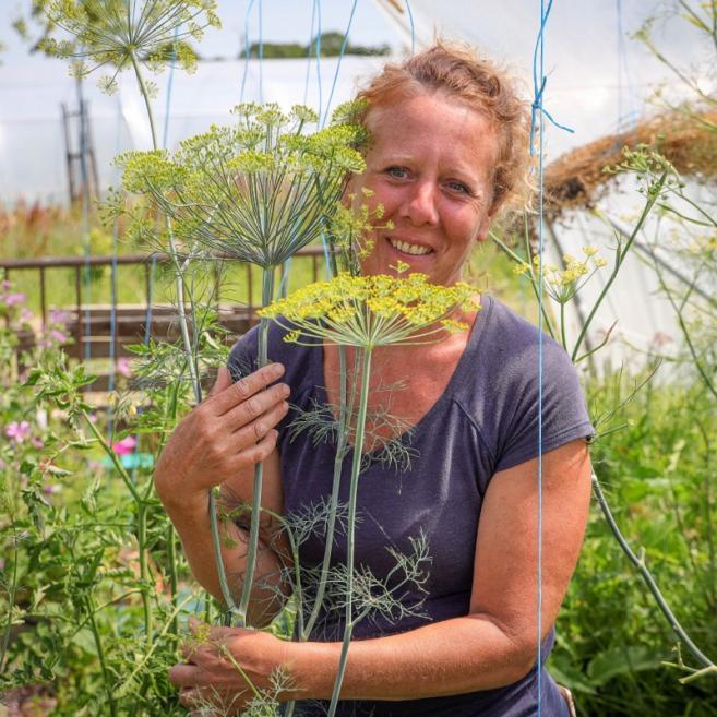 Gladys Boudehen, le Champ des Comestibles