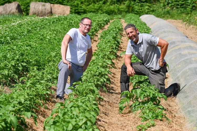 Franky Rubigny rend visite à Éric Dacher, maraîcher à Saint-Martin-du-Bec sur son exploitation Le Temps des Saisons