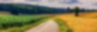 Chemin entre champs