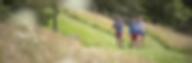 Des randonneurs en pleine nature