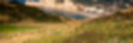 Valleuse du Tilleul