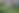 Enlarge the image