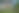 Enlarge the image