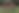 Enlarge the image