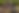 Enlarge the image